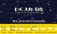 深入解析中国主要网络区
