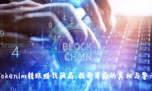 Tokenim转账赚钱骗局：揭开背后的真相与警示