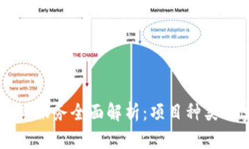区块链企业服务全面解析：项目种类与实施指南