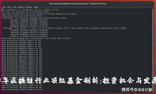 2023年区块链行业顶级基金剖析：投资机会与发展趋势
