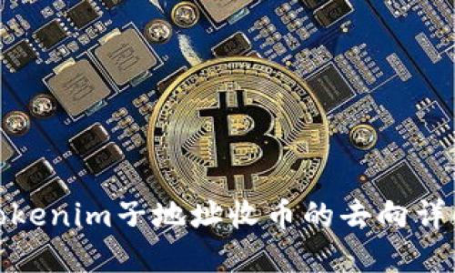 Tokenim子地址收币的去向详解