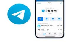 看起来您提到的“tokenim确