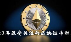2023年最受关注的区块链币