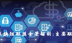 2023年金融区块链联盟全景