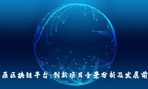 中原区块链平台：创新项目全景分析及发展前景