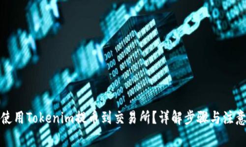 如何使用Tokenim提币到交易所？详解步骤与注意事项