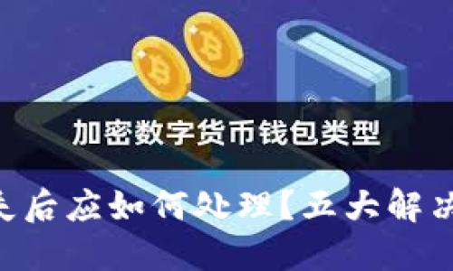 Tokenim钱包丢失后应如何处理？五大解决方案与预防措施