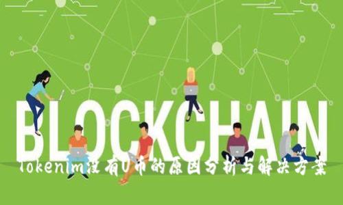 Tokenim没有U币的原因分析与解决方案