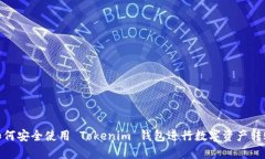 如何安全使用 Tokenim 钱包