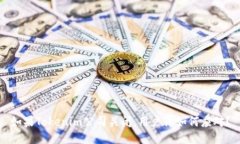 如果Tokenim公司关闭，用户