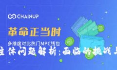 区块链的主体问题解析：