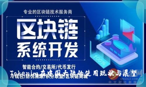 Tokenim在中国大陆的使用现状与展望
