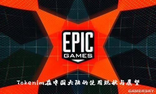 Tokenim在中国大陆的使用现状与展望