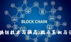 区块链技术与骗局：揭示
