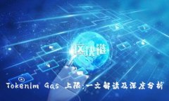 Tokenim Gas 上限：一文解读