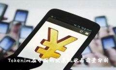 Tokenim在中国的发展现状与