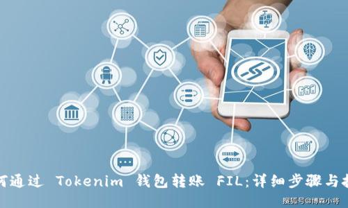 如何通过 Tokenim 钱包转账 FIL：详细步骤与技巧