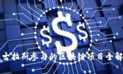 尼古拉斯参与的区块链项