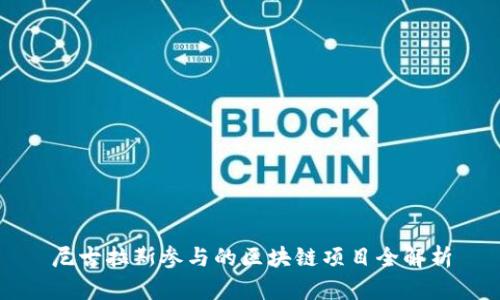 尼古拉斯参与的区块链项目全解析