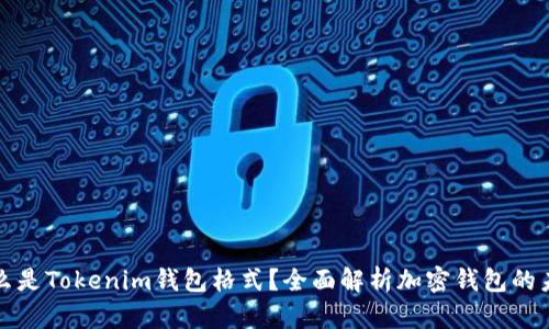 什么是Tokenim钱包格式？全面解析加密钱包的未来