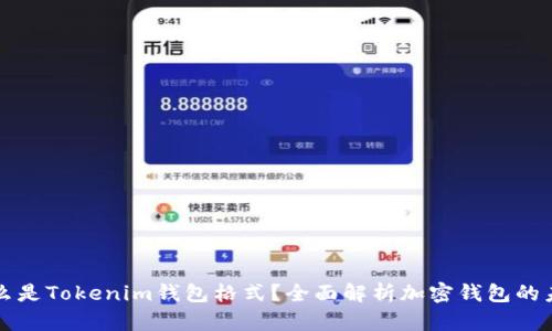 什么是Tokenim钱包格式？全面解析加密钱包的未来