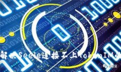 如何解决Seele连接不上To