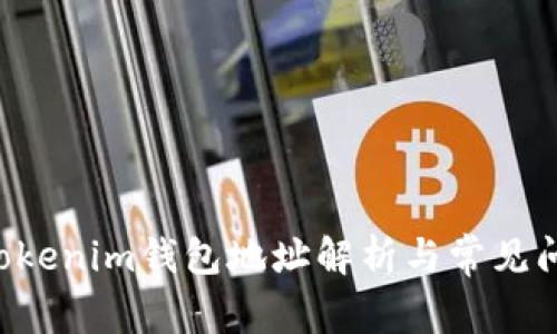 TokenTokenim钱包地址解析与常见问题解答