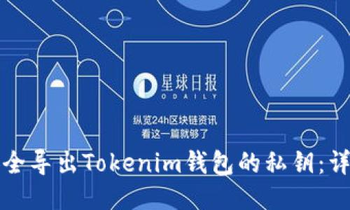 如何安全导出Tokenim钱包的私钥：详细指南