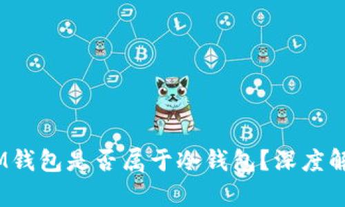 TokenTokenIM钱包是否属于冷钱包？深度解析与使用指南