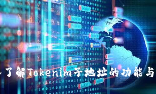 深入了解Tokenim子地址的功能与应用