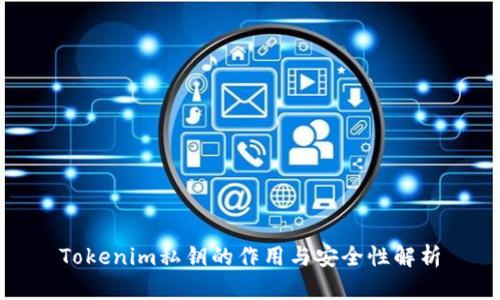 Tokenim私钥的作用与安全性解析