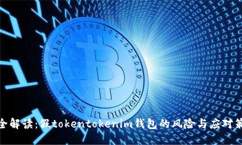 最全解读：假tokentokenim钱包的风险与应对策略