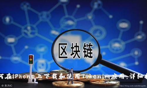 如何在iPhone上下载和使用Tokenim应用：详细指南