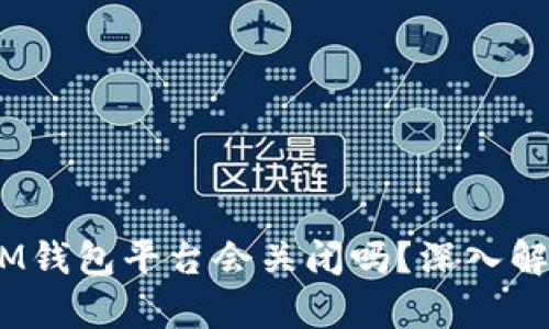 TokenTokenIM钱包平台会关闭吗？深入解析与用户指南