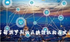 深入了解俄罗斯的区块链