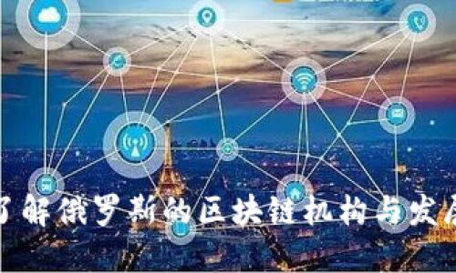 深入了解俄罗斯的区块链机构与发展现状