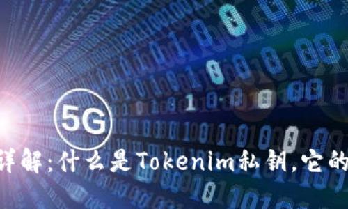 Tokenim私钥详解：什么是Tokenim私钥，它的作用及安全性