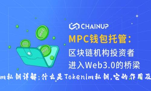 Tokenim私钥详解：什么是Tokenim私钥，它的作用及安全性