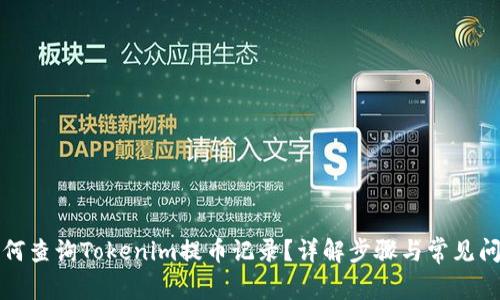 如何查询Tokenim提币记录？详解步骤与常见问题