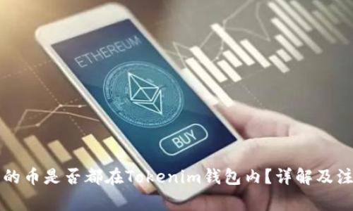空投发的币是否都在Tokenim钱包内？详解及注意事项