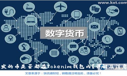 空投发的币是否都在Tokenim钱包内？详解及注意事项