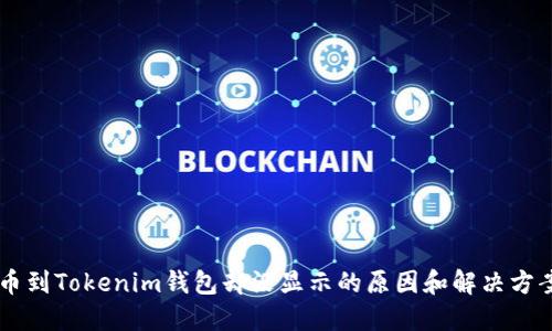 币到Tokenim钱包却没显示的原因和解决方案