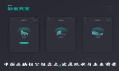 中国区块链公链盘点：发