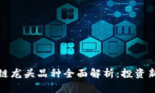 区块链龙头品种全面解析：投资新机会