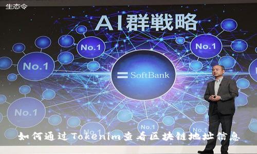 如何通过Tokenim查看区块链地址信息