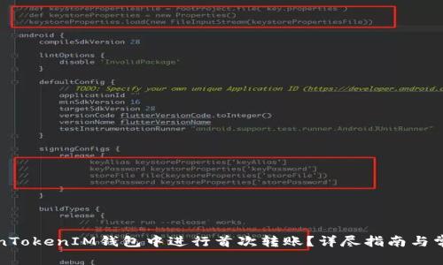 如何在TokenTokenIM钱包中进行首次转账？详尽指南与常见问题解答