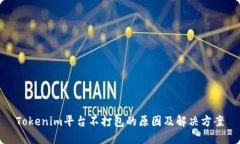 Tokenim平台不打包的原因及解决方案