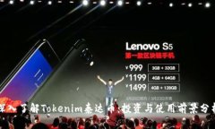 深入了解Tokenim泰达币：投资与使用前景分析