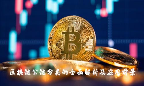 区块链公链分类的全面解析及应用前景