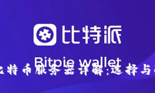 区块链比特币服务器详解：选择与配置指南